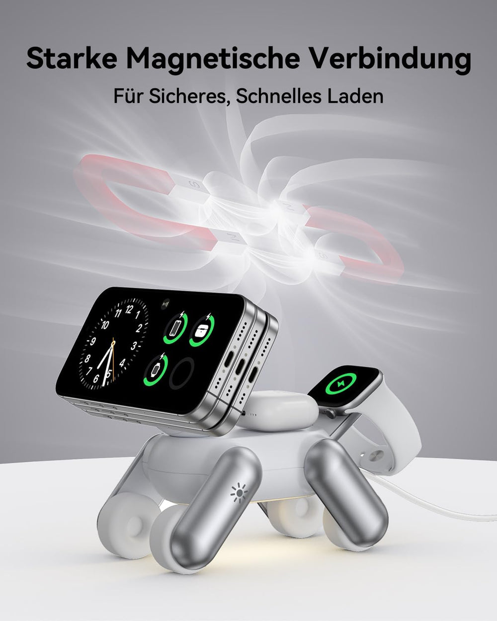 25W Dog Charger