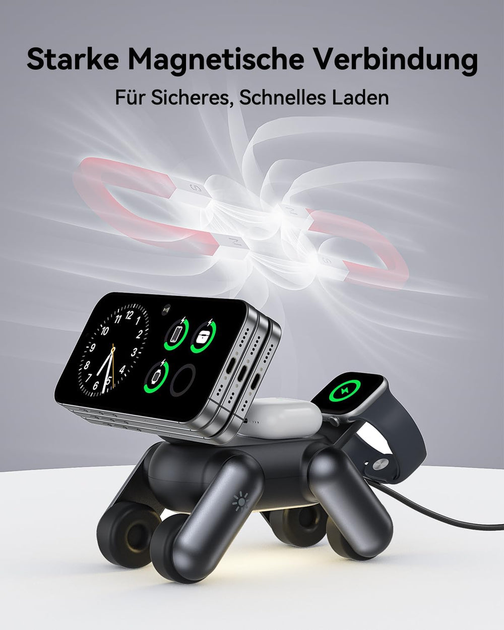25W Dog Charger