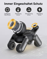 25W Dog Charger
